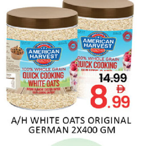 Mango available at Mango Hypermarket LLC in UAE - Dubai