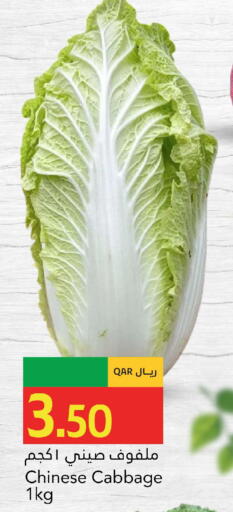 Cabbage from China available at جلف فود سنتر in قطر - أم صلال