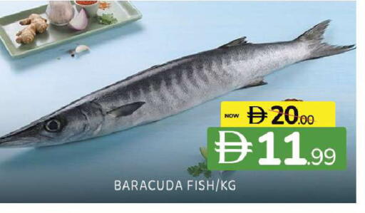 available at Al Madina  in UAE - Sharjah / Ajman