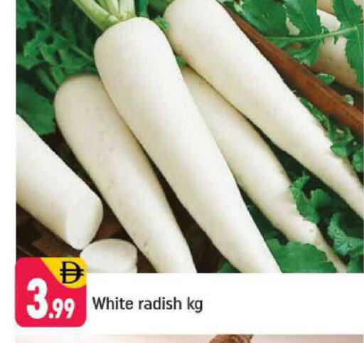 Radish available at Shaklan  in UAE - Dubai