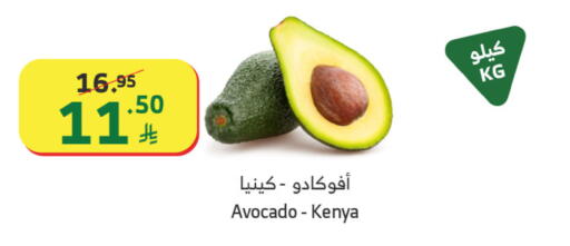 Avocado from Kenya available at Al Raya in KSA, Saudi Arabia, Saudi - Medina