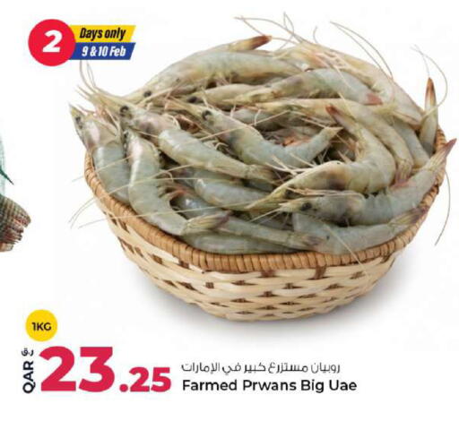 available at روابي هايبرماركت in قطر - الوكرة