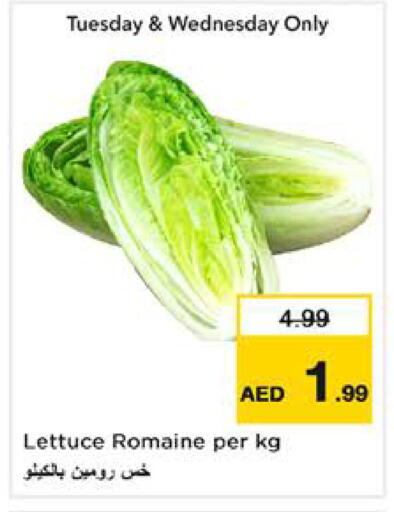 Lettuce available at نستو هايبرماركت in الإمارات العربية المتحدة , الامارات - الشارقة / عجمان
