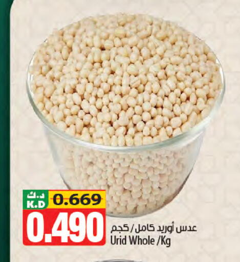 Mango available at مانجو هايبرماركت in الكويت - محافظة الأحمدي