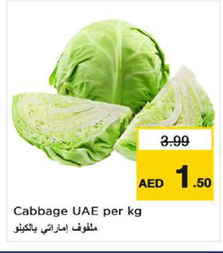 Cabbage available at نستو هايبرماركت in الإمارات العربية المتحدة , الامارات - الشارقة / عجمان