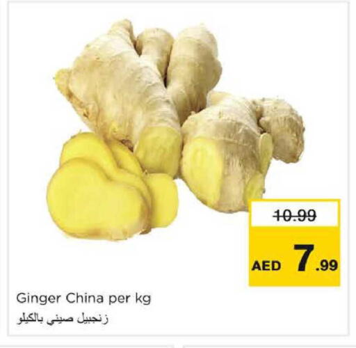 Ginger from China available at نستو هايبرماركت in الإمارات العربية المتحدة , الامارات - دبي