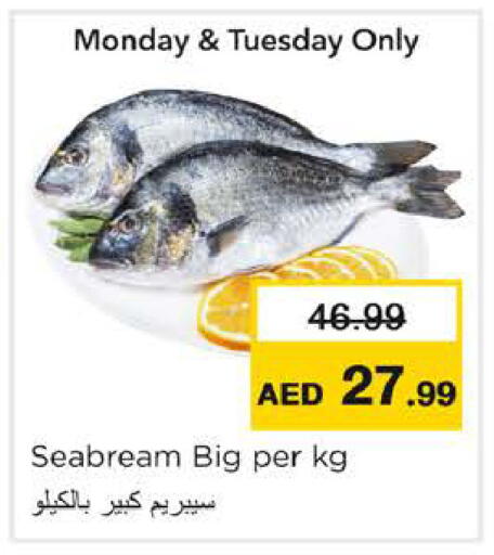 available at Nesto Hypermarket in UAE - Ras al Khaimah
