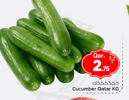 Cucumber from Qatar available at مارك & سيف in قطر - أم صلال