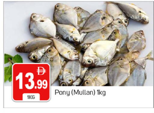 available at سوق طلال in الإمارات العربية المتحدة , الامارات - دبي