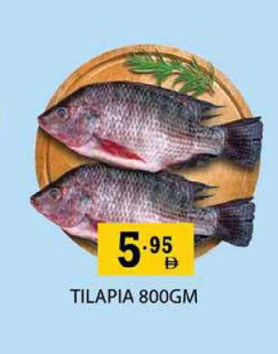 available at زين مارت سوبرماركت in الإمارات العربية المتحدة , الامارات - رَأْس ٱلْخَيْمَة