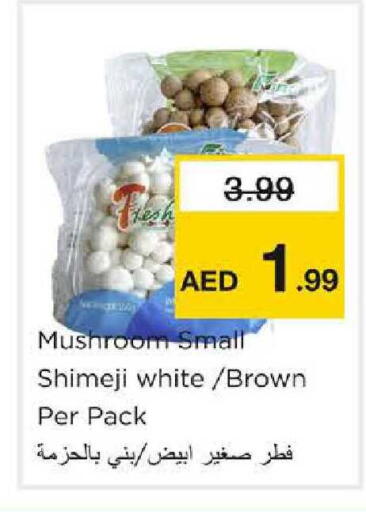 Mushroom available at نستو هايبرماركت in الإمارات العربية المتحدة , الامارات - الشارقة / عجمان