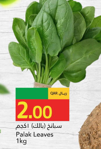 available at جلف فود سنتر in قطر - أم صلال