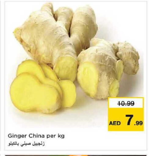 Ginger from China available at نستو هايبرماركت in الإمارات العربية المتحدة , الامارات - الشارقة / عجمان