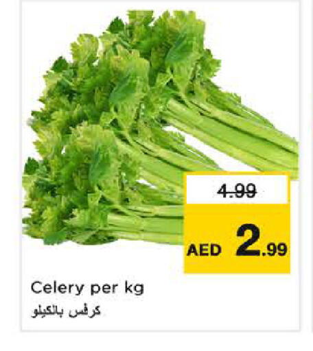 Celery available at نستو هايبرماركت in الإمارات العربية المتحدة , الامارات - دبي
