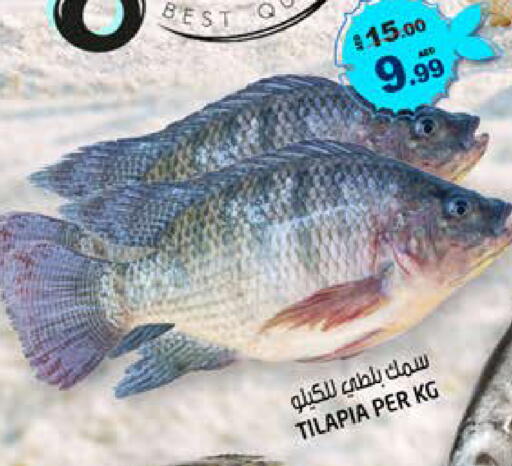 available at Hashim Hypermarket in UAE - Sharjah / Ajman