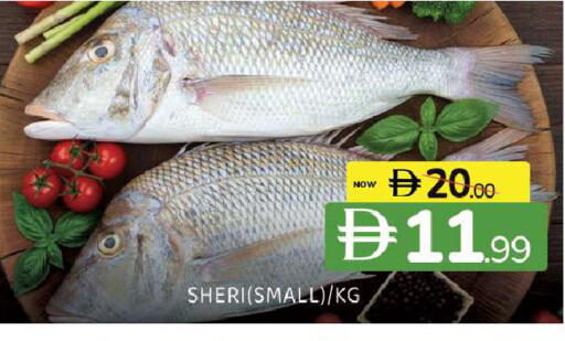 available at Al Madina  in UAE - Sharjah / Ajman