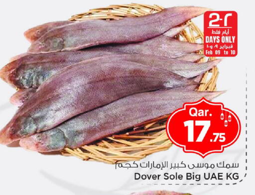 available at مارك & سيف in قطر - الريان