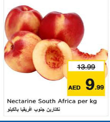 Nectarine from South Africa available at لاست تشانس in الإمارات العربية المتحدة , الامارات - ٱلْفُجَيْرَة‎