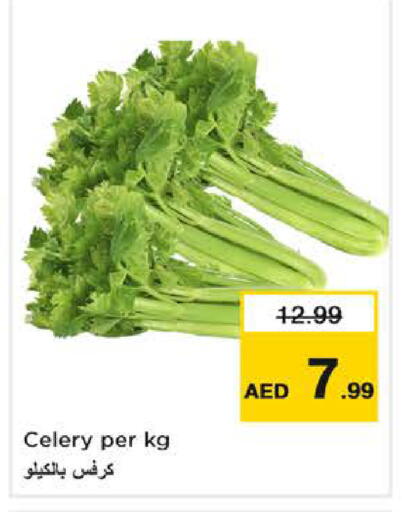 Celery available at نستو هايبرماركت in الإمارات العربية المتحدة , الامارات - دبي