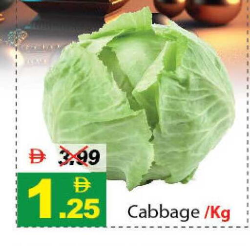 Cabbage available at ديزرت فريش ماركت in الإمارات العربية المتحدة , الامارات - أبو ظبي