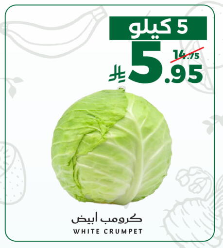 available at ميرا مارت مول in مملكة العربية السعودية, السعودية, سعودية - جدة