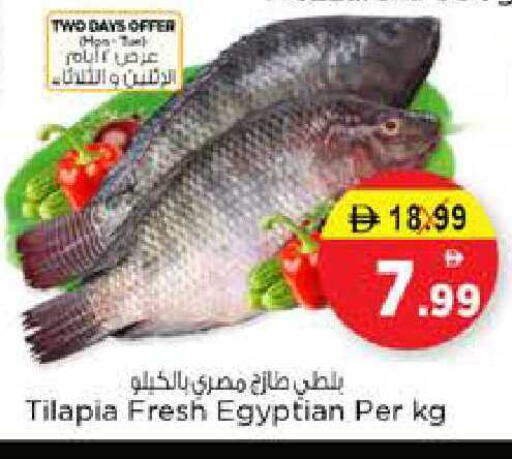 available at نستو هايبرماركت in الإمارات العربية المتحدة , الامارات - الشارقة / عجمان