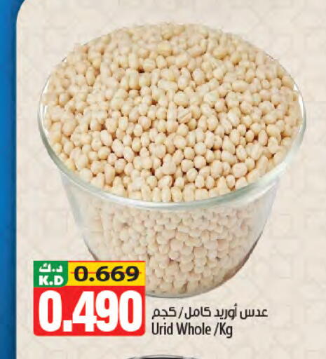 Mango available at مانجو هايبرماركت in الكويت - محافظة الأحمدي