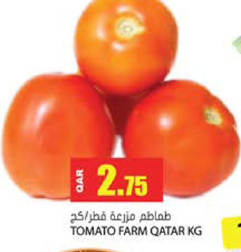 Tomato from Qatar available at جراند هايبرماركت in قطر - الدوحة