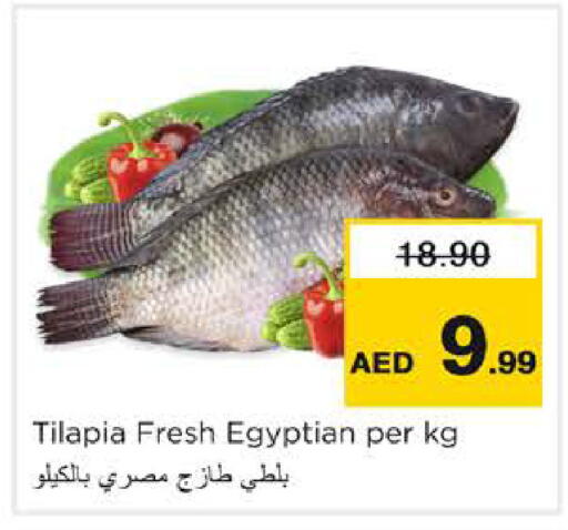 available at نستو هايبرماركت in الإمارات العربية المتحدة , الامارات - الشارقة / عجمان