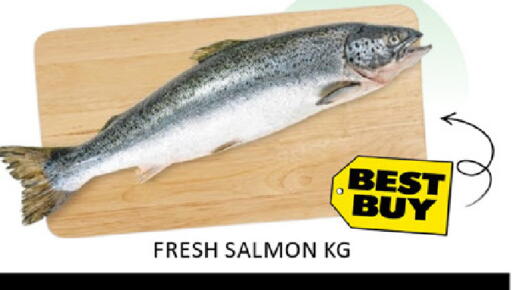 Mango available at Mango Hypermarket LLC in UAE - Dubai