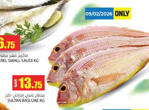 available at جراند هايبرماركت in قطر - الضعاين