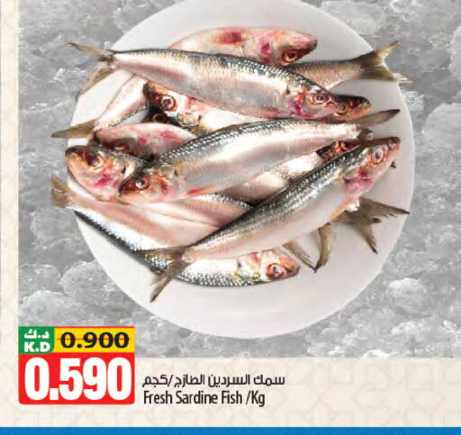 Mango available at Mango Hypermarket  in Kuwait - Kuwait City