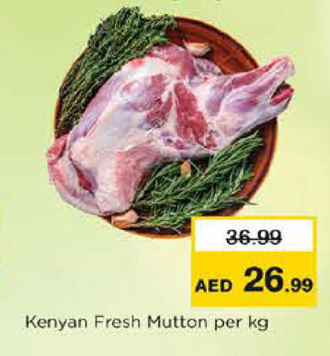 available at نستو هايبرماركت in الإمارات العربية المتحدة , الامارات - دبي