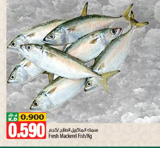 Mango available at مانجو هايبرماركت in الكويت - مدينة الكويت