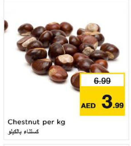 available at لاست تشانس in الإمارات العربية المتحدة , الامارات - ٱلْفُجَيْرَة‎