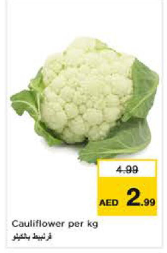 Cauliflower available at نستو هايبرماركت in الإمارات العربية المتحدة , الامارات - أبو ظبي