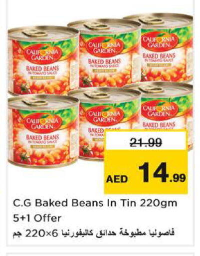 Tomato available at نستو هايبرماركت in الإمارات العربية المتحدة , الامارات - ٱلْفُجَيْرَة‎