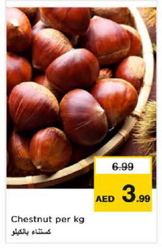 available at نستو هايبرماركت in الإمارات العربية المتحدة , الامارات - دبي