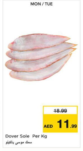 available at نستو هايبرماركت in الإمارات العربية المتحدة , الامارات - ٱلْفُجَيْرَة‎