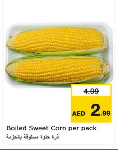 available at Last Chance  in UAE - Fujairah