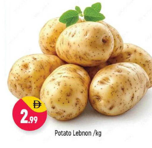 Potato available at Shaklan  in UAE - Dubai