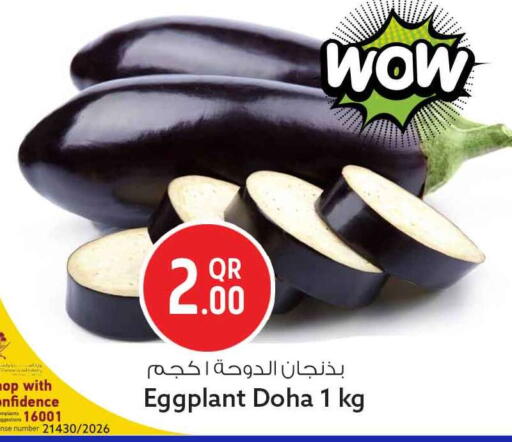 Eggplant from Qatar available at Safari Hypermarket in Qatar - Al Rayyan