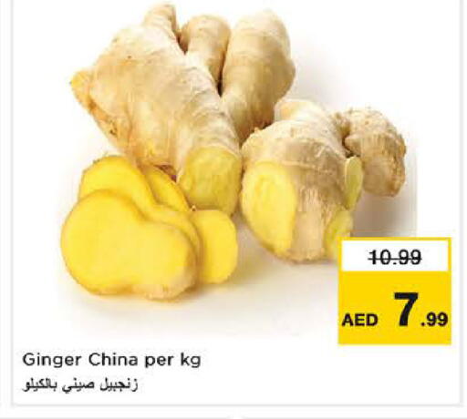 Ginger from China available at نستو هايبرماركت in الإمارات العربية المتحدة , الامارات - دبي