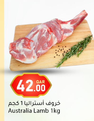 available at دانا ماركت in قطر - الريان