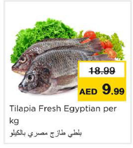available at Nesto Hypermarket in UAE - Ras al Khaimah