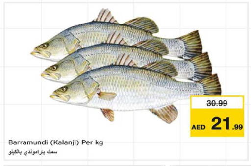 available at نستو هايبرماركت in الإمارات العربية المتحدة , الامارات - الشارقة / عجمان