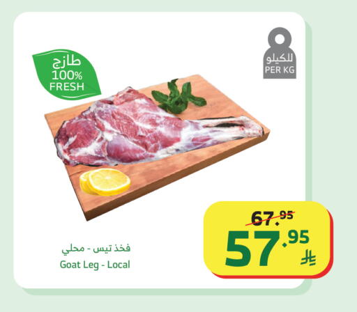 available at Al Raya in KSA, Saudi Arabia, Saudi - Khamis Mushait
