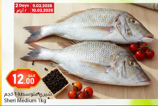 available at دانا ماركت in قطر - الخور