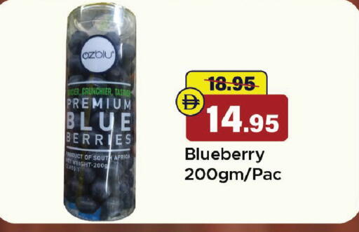 Blueberry BlueBerry from South Africa available at الأسواق هايبرماركت in الإمارات العربية المتحدة , الامارات - الشارقة / عجمان