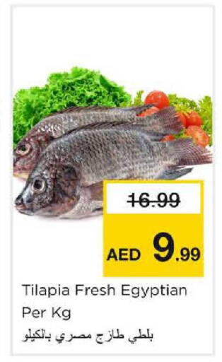 available at نستو هايبرماركت in الإمارات العربية المتحدة , الامارات - الشارقة / عجمان